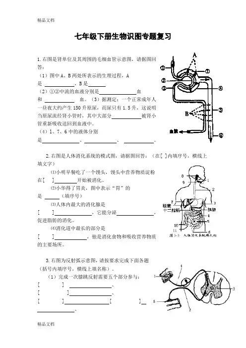 最新已整理的初中生物七年级下册识图专题复习