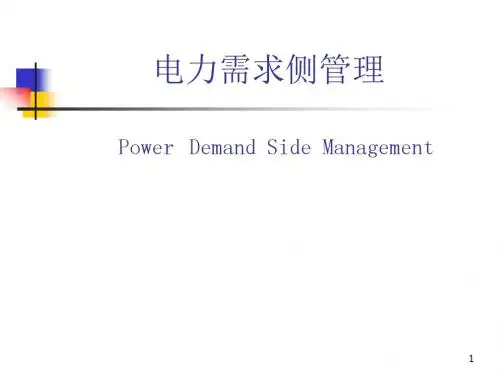 电力需求侧管理 (2)