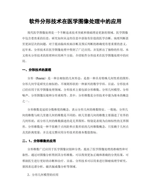 软件分形技术在医学图像处理中的应用