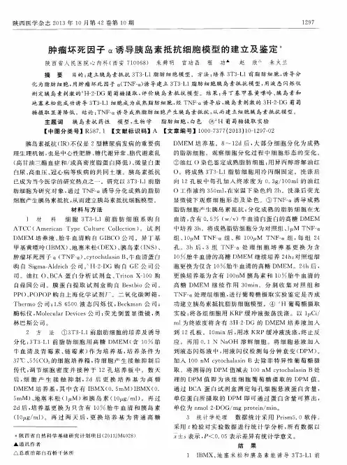 肿瘤坏死因子α诱导胰岛素抵抗细胞模型的建立及鉴定