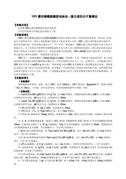 聚丙烯酰胺凝胶电泳法