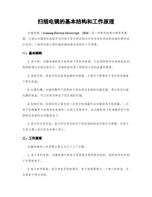 扫描电镜的基本结构和工作原理
