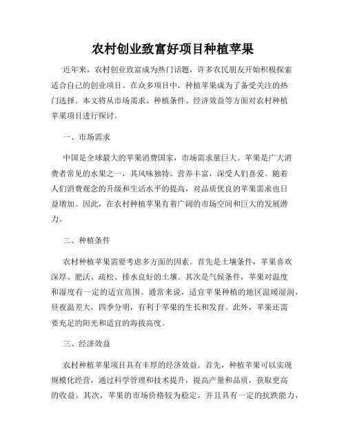 农村创业致富好项目种植苹果