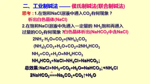 专项侯氏制碱法人教版高中化学必修一教学课件