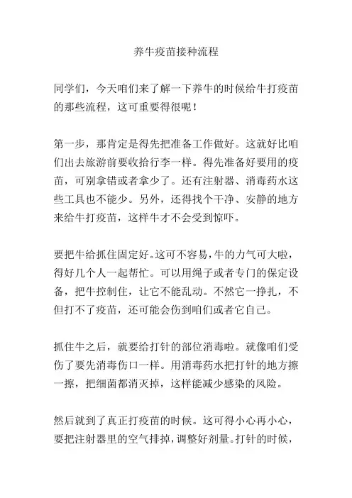 养牛疫苗接种流程