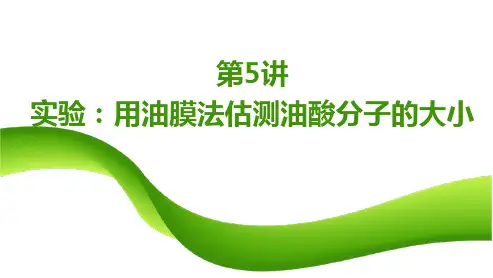 高中物理 第5讲  实验：用油膜法估测油酸分子的大小