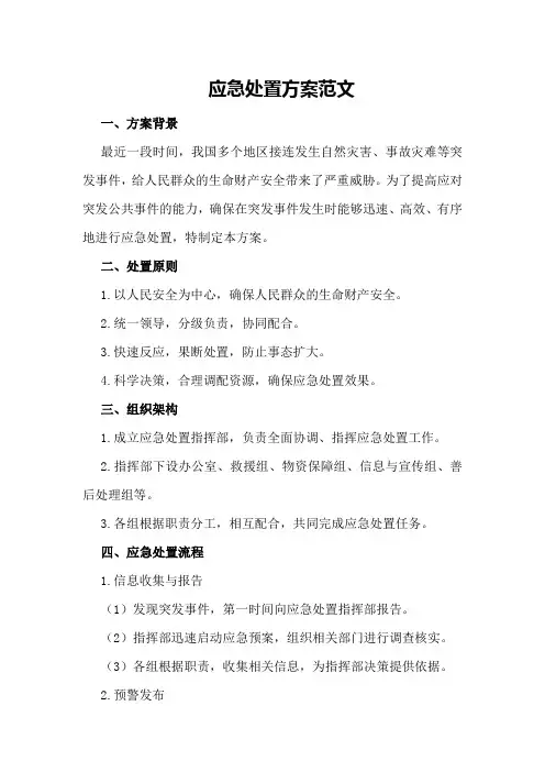 应急处置方案范文