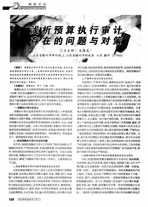 浅析预算执行审计存在的问题与对策