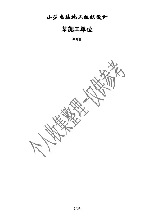 小型电站施工组织设计方案