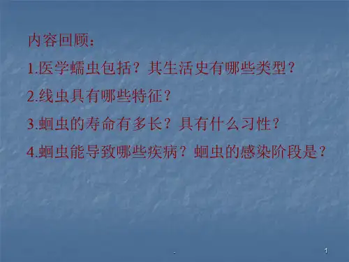 鞭虫钩虫蛲虫ppt演示课件
