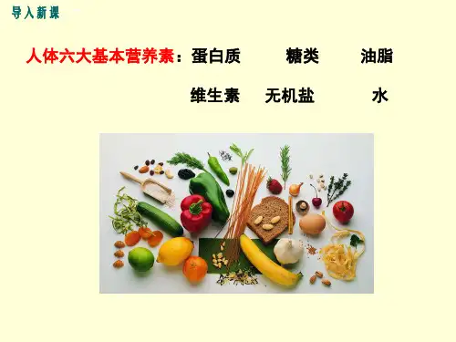 人类重要的营养物质PPT课件九年级化学