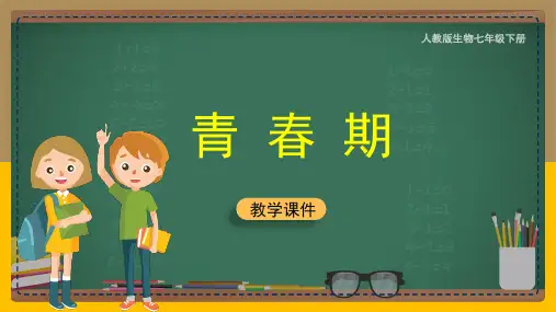 初中生物人教版七年级下册《13青春期人教版》课件