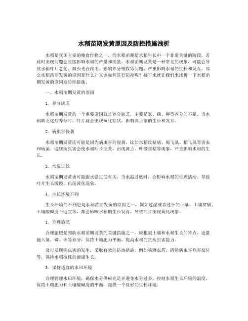 水稻苗期发黄原因及防控措施浅析
