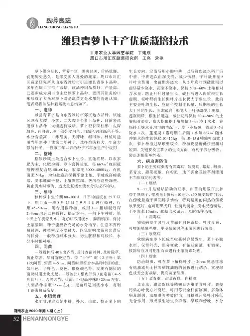 潍县青萝卜丰产优质栽培技术