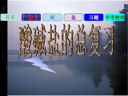 酸碱盐总复习PPT课件(初中科学)
