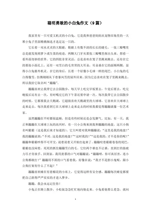 聪明勇敢的小白兔作文(9篇)