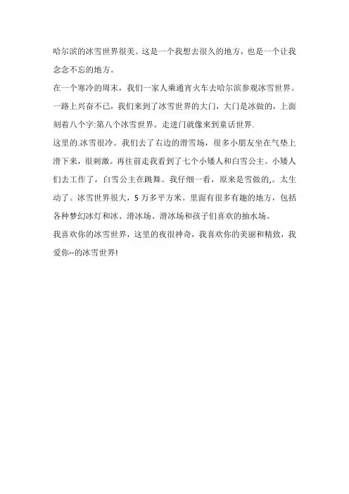 2023年哈尔滨冰雪大世界作文