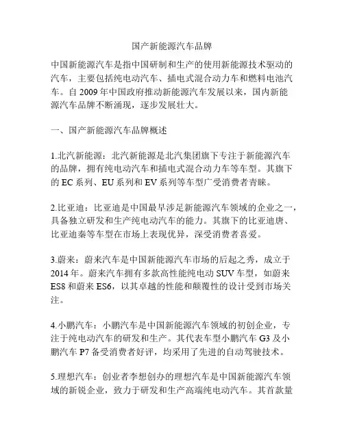 国产新能源汽车品牌