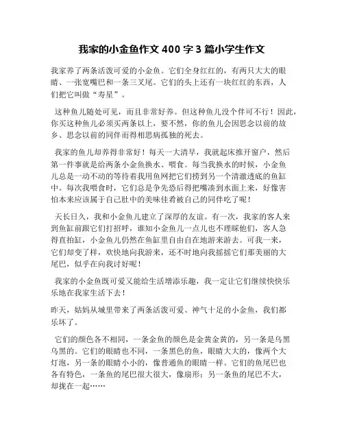 我家的小金鱼作文400字3篇小学生作文