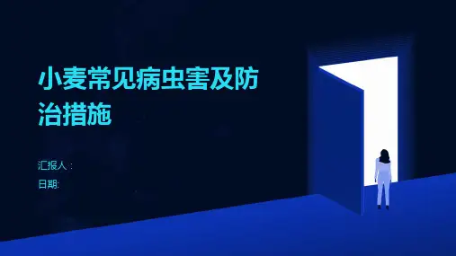 小麦常见病虫害及防治措施