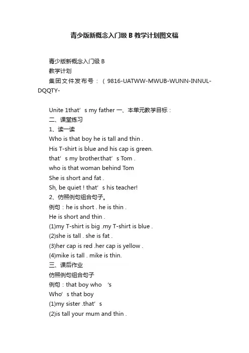 青少版新概念入门级B教学计划图文稿
