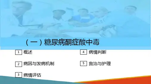 代谢系统急症—高血糖危象的救护(护理课件)