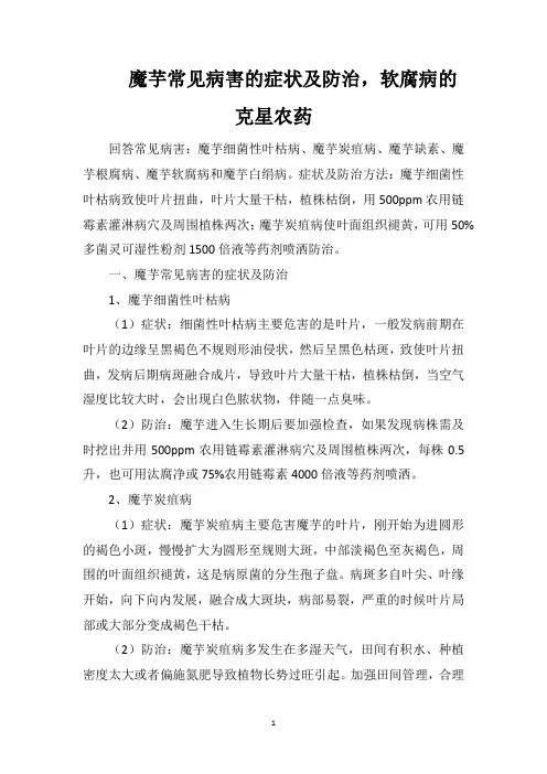 魔芋常见病害的症状及防治,软腐病的克星农药