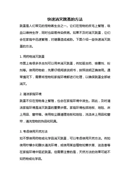 快速消灭跳蚤的方法
