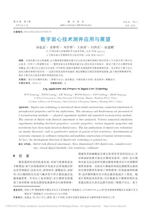 数字岩心技术测井应用与展望_孙建孟