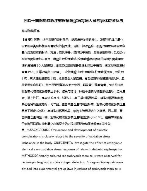 胚胎干细胞尾静脉注射移植糖尿病肾病大鼠的氧化应激反应