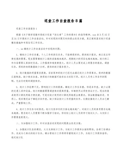 巡查工作自查报告8篇