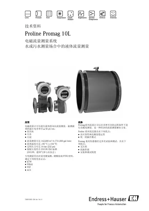 Proline Promag 10L 电磁流量测量系统说明书
