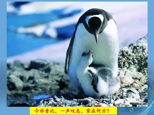 人教版高中地理必修一第二章第四节全球气候变化  课件(共29张PPT)
