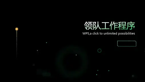 领队工作程序