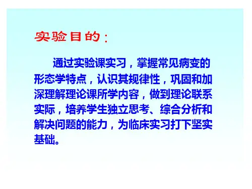 01细胞组织的损伤与修复-第五章肿瘤