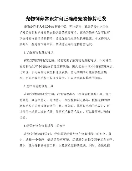 宠物饲养常识如何正确给宠物修剪毛发