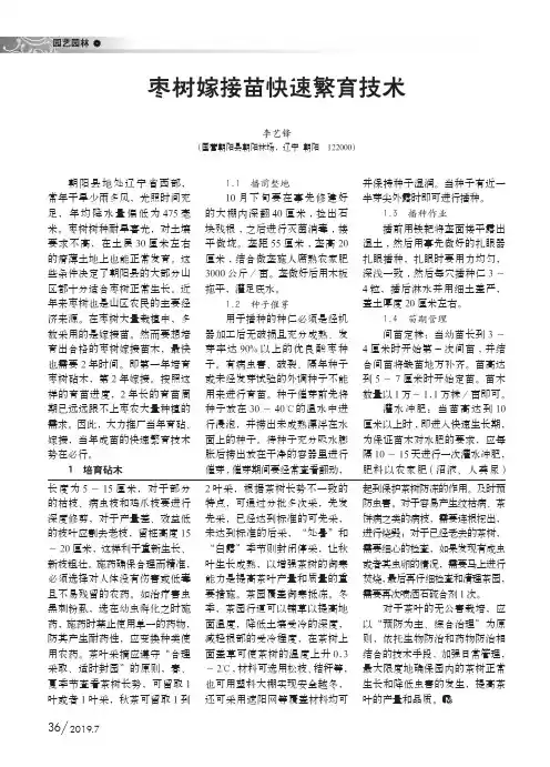 枣树嫁接苗快速繁育技术