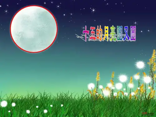 《圆的周长和面积》PPT幻灯片
