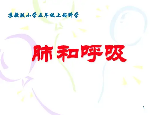 肺和呼吸ppt课件