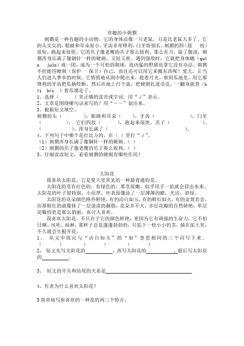 有趣的小刺猬