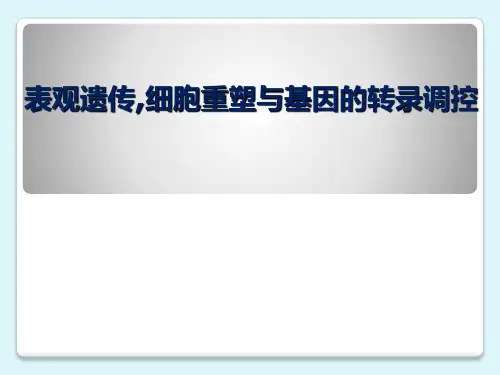 表观遗传与疾病-表观遗传,细胞重塑与基因的转录调控