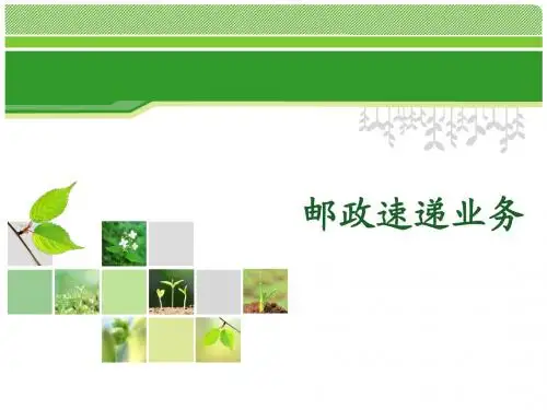 (5)邮政速递业务