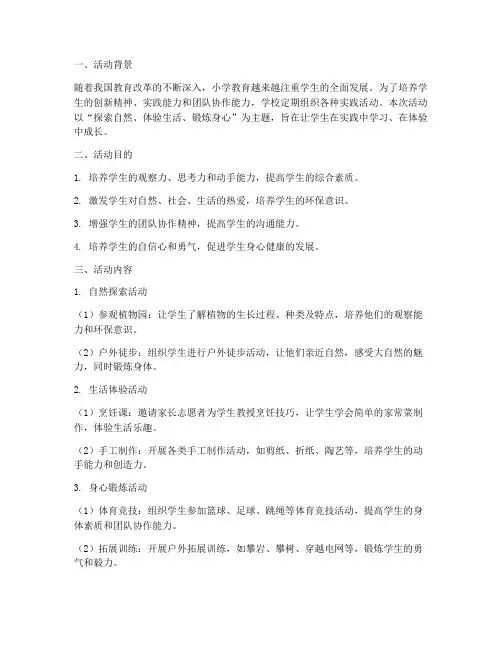 小学实践活动解说