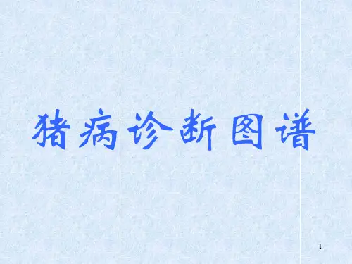 猪病诊断图谱003