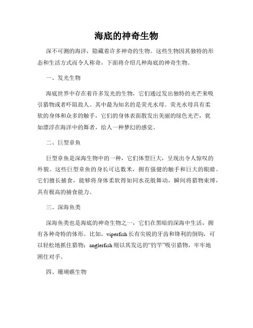 海底的神奇生物