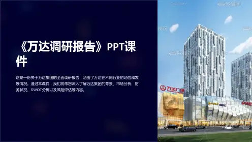 《万达调研报告》课件