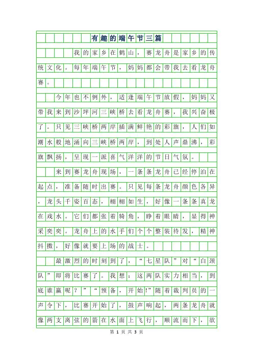 2019年有趣的端午节作文