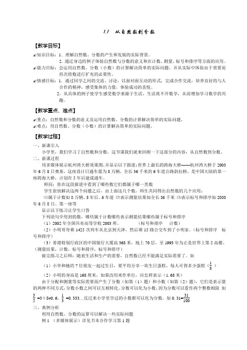 从自然数到有理数 教案 