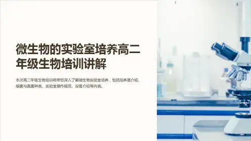 微生物的实验室培养高二年级生物培训讲解