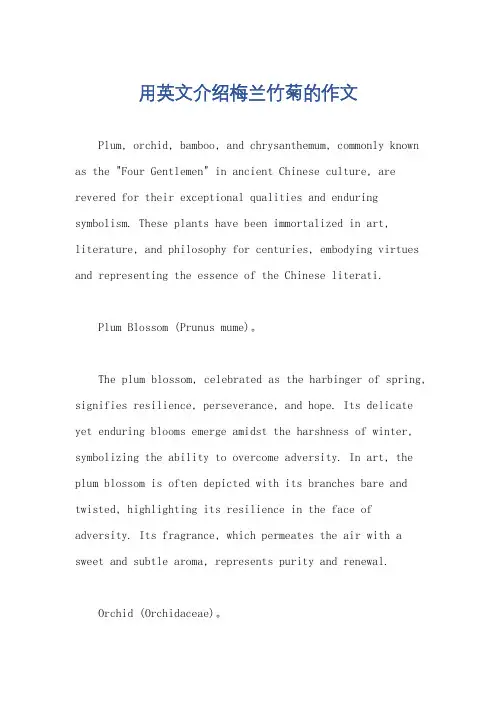 用英文介绍梅兰竹菊的作文